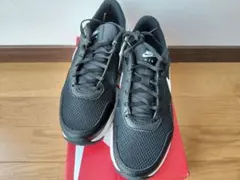 Item thumbnail for item b36169d9-3cde-45a5-82e5-58239a0ffb2d