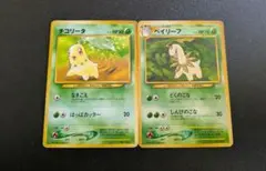 チコリータ ベイリーフ 旧裏面　初期　マークなしのサムネイル