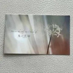 鬼の花嫁　映画　特典　フライヤー