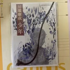 川端康成 少年