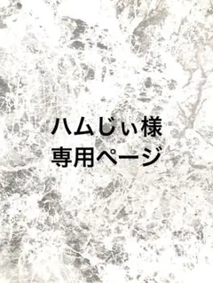 ハムじぃ様専用ページです。
