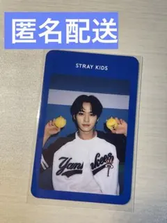 Stray kids スキズ リノ stay in playground 特典