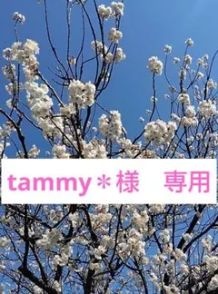 専用　ハロッズ　トートバッグ