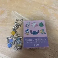 ディズニー シークレットキーチェーン ドナルド