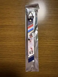 東京ヤクルトスワローズ 伊藤琉偉 ボンフィン