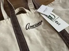 AMERICANA×TEMBEA×SALON＊トリプルコラボキャンバストート