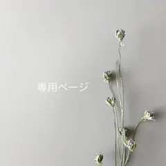 Jūlius様