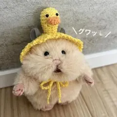 はむにぎり かぶりもの ひまわり ひまわりの種 2点セット - メルカリ