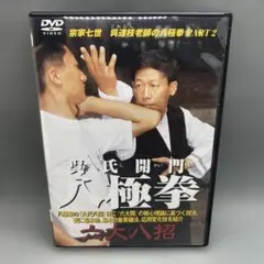 2025年最新】呉氏開門八極拳の人気アイテム - メルカリ