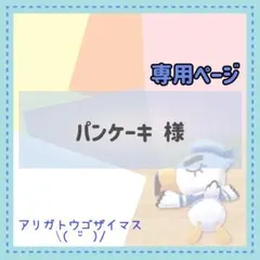 パンケーキ様 リクエスト 9点 まとめ商品