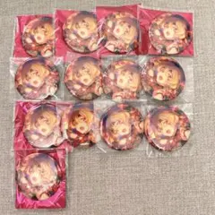 ナナシス ルイ 缶バッジ 13点セット