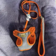 Item thumbnail for item b2e185e0-c3c8-48c2-95c3-bce8a7204326