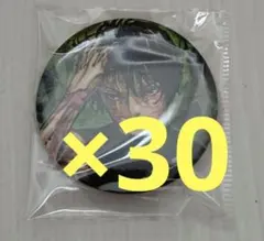 呪術廻戦 禪院真希 ジャンプGIGA 缶バッジ 30個