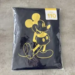 Item thumbnail for item b5b5a56b-d2e1-4bf9-ba25-95e9e09ee70d