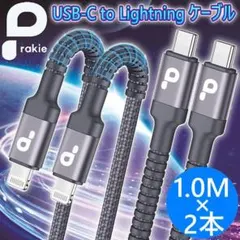USB-C to Lightningケーブル 1M 2本セット MFi C94