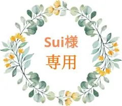 Sui@プロフ確認お願いします。様 リクエスト 2点 まとめ商品