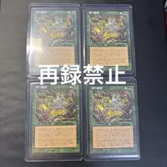 2026年最新】魔の魅惑の人気アイテム - メルカリ