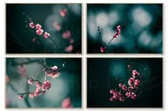 メジロと紅梅と青空の高解像度写真 2L判写真 4枚 セート - メルカリ
