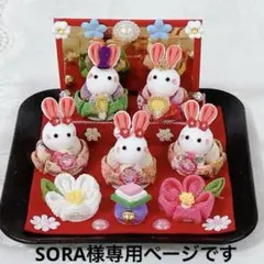 SORA様専用ページです