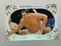 Item thumbnail for item 5d2fe10e-e1a3-4369-9d28-ef5fd5219962