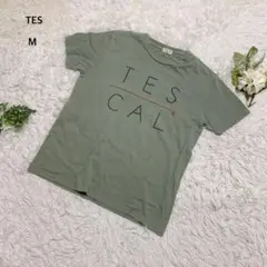 テス　エンドレスサマー　Tシャツ 半袖　カットソー　綿100% ロゴプリントのサムネイル
