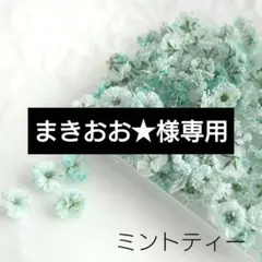まきおお★様 リクエスト 2点 まとめ商品
