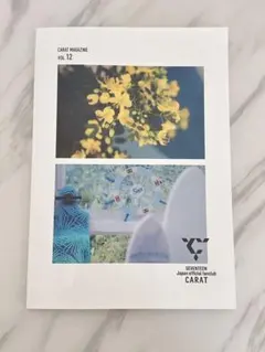 SEVENTEEN CARAT MAGAZINE vol.12