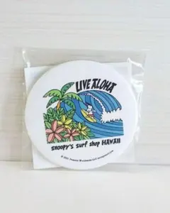 Item thumbnail for item 44db00f9-dfb2-4c3e-92fe-11db894ff3ef