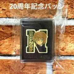 名探偵コナン アニメ20周年記念 ピンバッジ 灰原哀