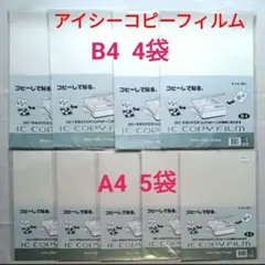 Item thumbnail for item 23b22f1c-a547-46ea-955a-2f586f61d0fe