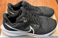 Item thumbnail for item 527b4949-572a-48fa-a333-fc898ce90521