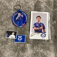 Item thumbnail for item 9993e883-1503-4549-8a76-dbc16bbd6275