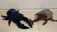 昆虫キングカブトバトルぬいぐるみ　カブトムシ　クワガタぬいぐるみのサムネイル