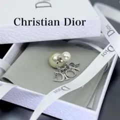 【美品☆箱付き】ディオール　トライバル　パール　ピアス　シルバー　片耳