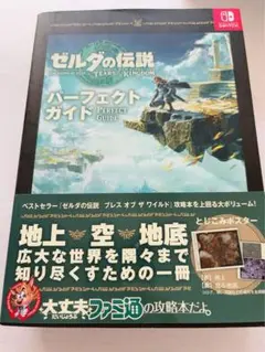 ゼルダの伝説 ティアーズ オブ ザ キングダム パーフェクトガイド