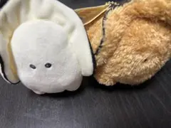 つぶらな瞳のなまがきシリーズ/べびーかきふらい/動くカキ