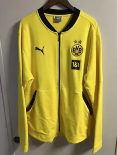 Item thumbnail for item 549fc4e7-13c5-4f17-96f3-a3139611a2a4