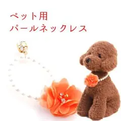 Item thumbnail for item 578642ad-fb70-4625-8556-043e8b79dcc2