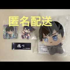 ハイキュー 影山 セット