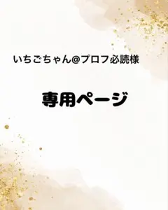 いちごちゃん@プロフ必読様 リクエスト 4点 まとめ商品