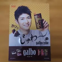 ⭐三浦春馬⭐ 明治 galbo クリアファイル 新品