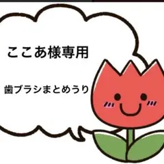 ここあ様専用Ci700 S 超先細毛　歯ブラシ　やわらかめ　5色×8計40本