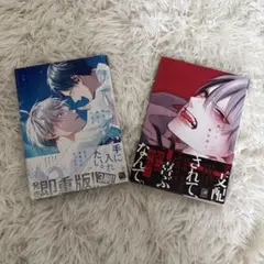 BL漫画 2冊セット
