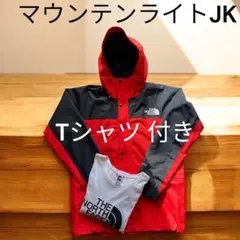 美品ノースフェイス マウンテンライトジャケット L