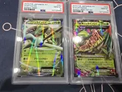 ジュカインEX MジュカインEX 連番 PSA10 バンデットリングのサムネイル