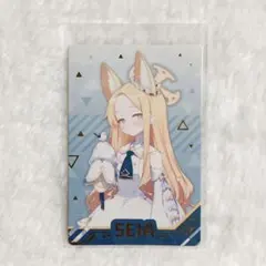 ブルーアーカイブ　韓国限定SONYコラボ　コレクションパッケージ　※グッズのみ ブルーアーカイブ 韓国限定SONYコラボ コレクションパッケージ