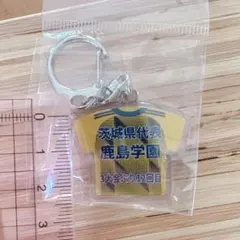 Item thumbnail for item f780d36b-4192-41d1-9404-800e5b06535d