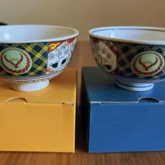 【新品未使用】吉野家 デザイン違い2種セット 茶碗 非売品 箱付き