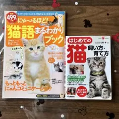 2026年最新】石野_孝の人気アイテム - メルカリ