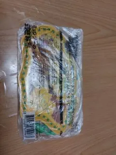 パスケース JR-EAST Pokémon Stamp Rally 2019